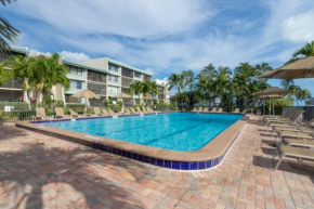 Loggerhead 133